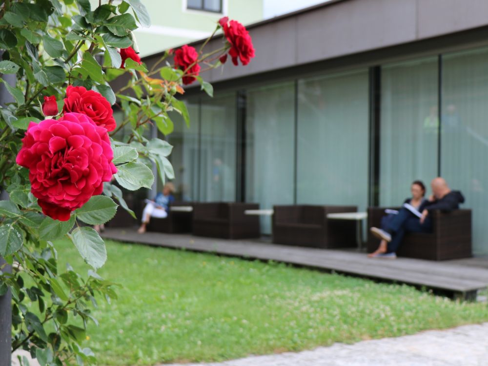 Waxenberg 1905 (4a) 3x4